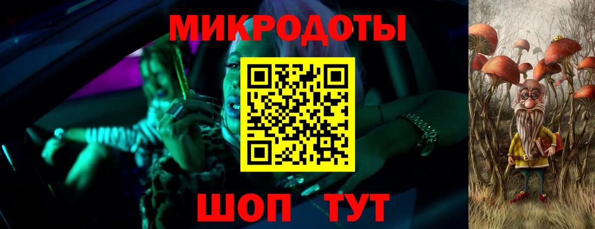 Галлюциногенные грибы Psilocybe Рязань